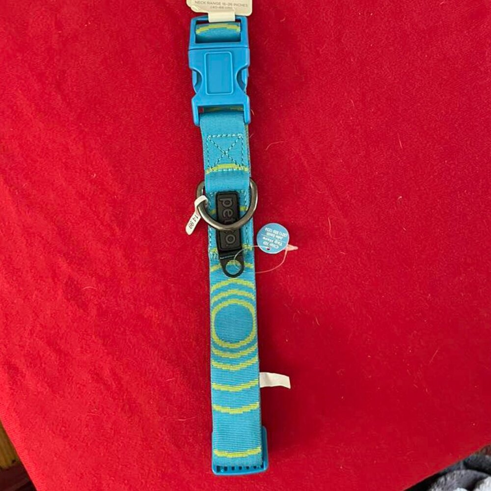 Dog Collar: Blue & Green-Yellow, Large